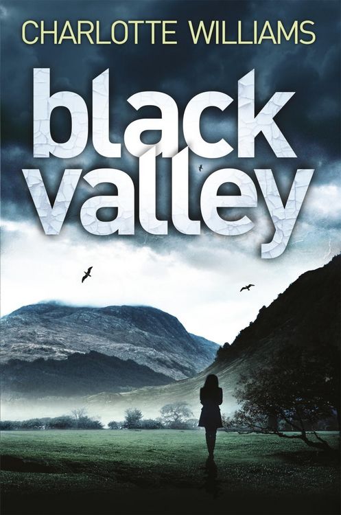 Produktbild: Black Valley