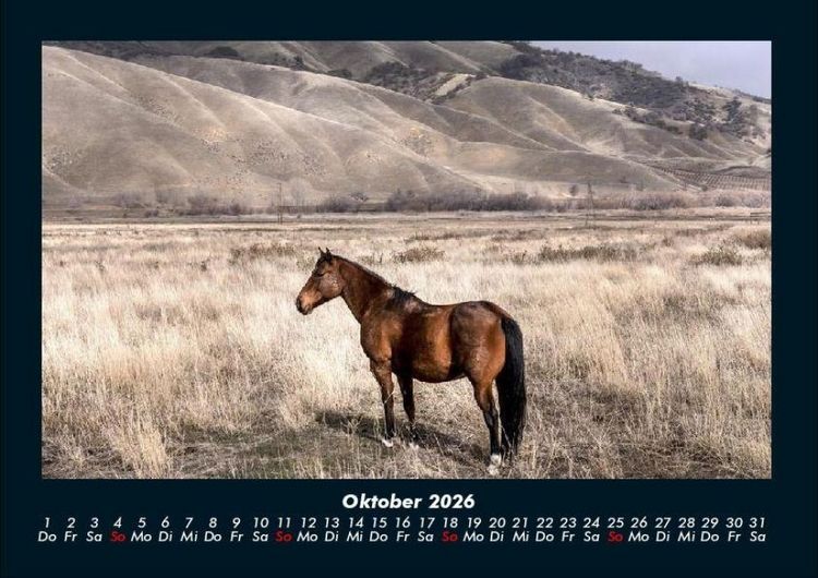 Produktbild: Pferdegefl&uuml;ster 2026 Fotokalender DIN A4