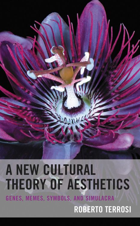 Produktbild: A New Cultural Theory of Aesthetics
