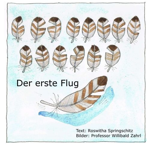 Produktbild: Der erste Flug