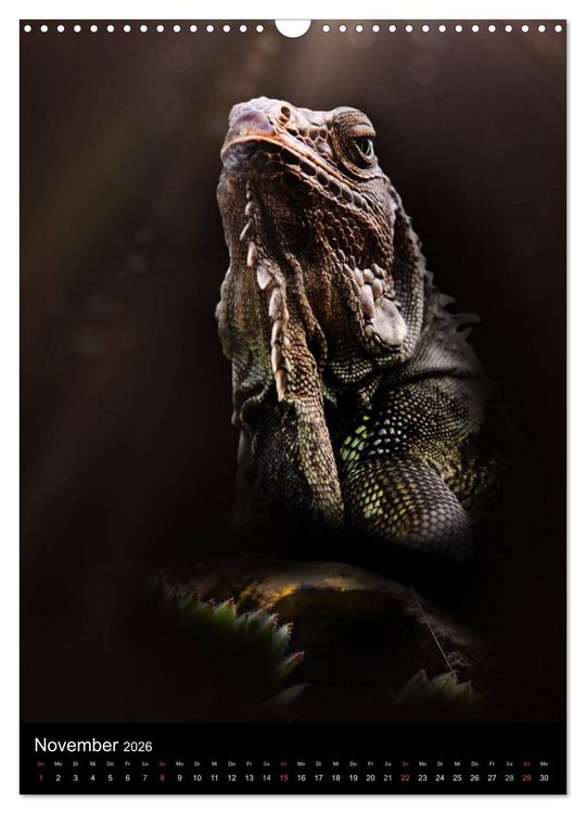 Produktbild: Auge in Auge mit coolen Typen - REPTILIEN (Wandkalender 2026 DIN A3 hoch), CALVENDO Monatskalender