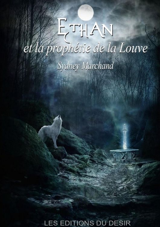 Produktbild: Ethan et la prophetie de la louve