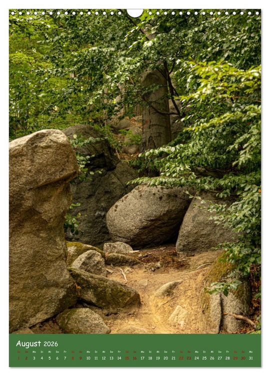Produktbild: Ich bin dann mal im Wald (Wandkalender 2026 DIN A3 hoch), CALVENDO Monatskalender