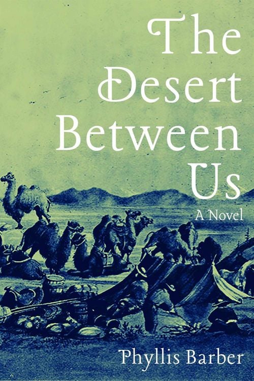 Produktbild: The Desert Between Us: A Novel Volume 1
