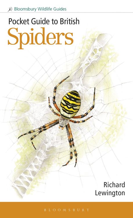Produktbild: Pocket Guide to British Spiders