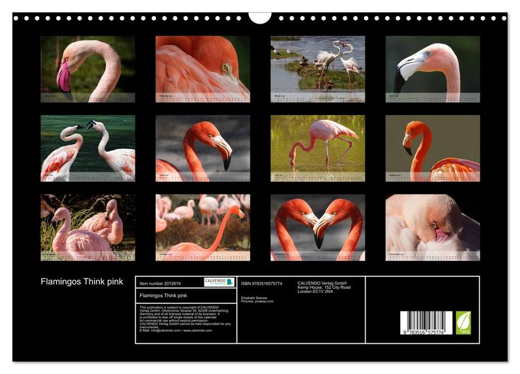 Produktbild: Flamingos Think pink (Wall Calendar 2026 DIN A3 landscape), CALVENDO 12 Month Wall Calendar