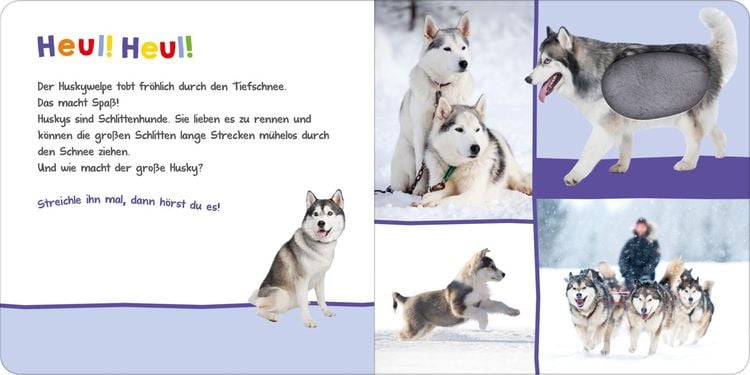 Produktbild: Hör mal rein, wer kann das sein? – Im Winter