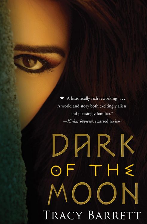 Produktbild: Dark of the Moon