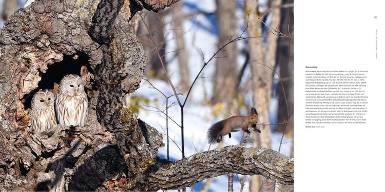 Produktbild: 60 Jahre Wildlife Fotografien des Jahres