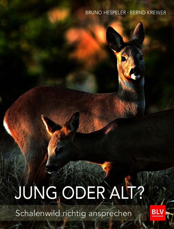 Produktbild: Jung oder alt?