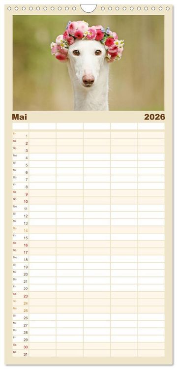 Produktbild: Familienplaner 2026 - Zauberhafte Windhunde mit 5 Spalten (Wandkalender, 21 x 45 cm) CALVENDO