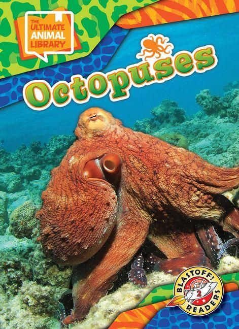 Produktbild: Octopuses