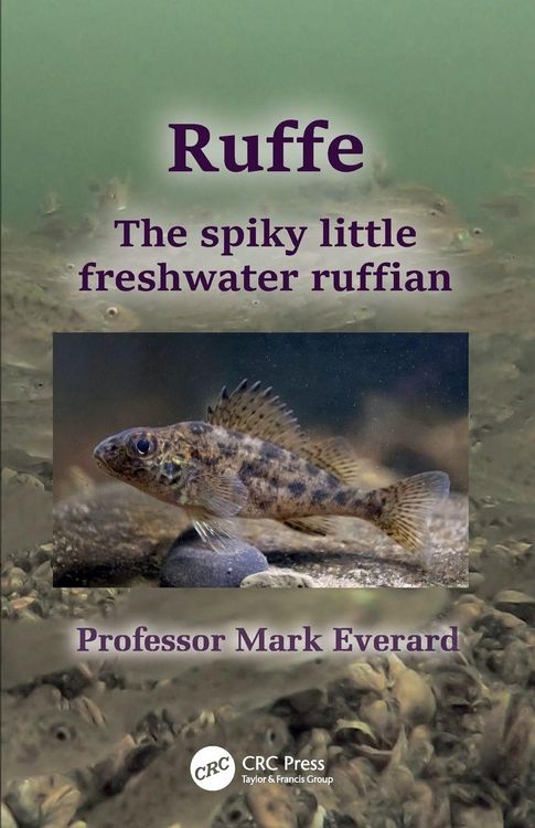 Produktbild: Ruffe