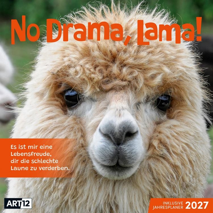 Produktbild: No Drama, Lama Kalender 2027 - 30x30 - Art12