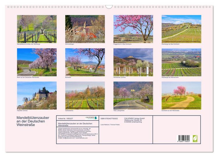 Produktbild: Mandelbl&uuml;tenzauber an der Deutschen Weinstra&szlig;e (Wandkalender 2026 DIN A2 quer), CALVENDO Monatskalender