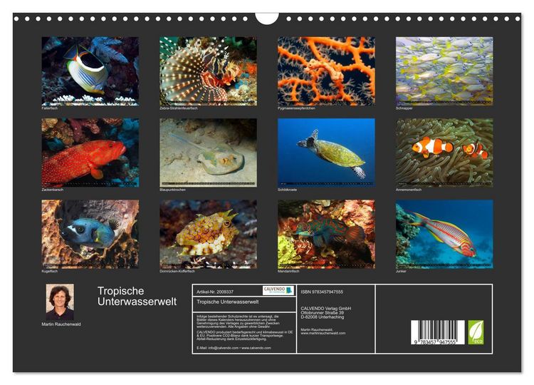 Produktbild: Tropische Unterwasserwelt (Wandkalender 2026 DIN A3 quer), CALVENDO Monatskalender