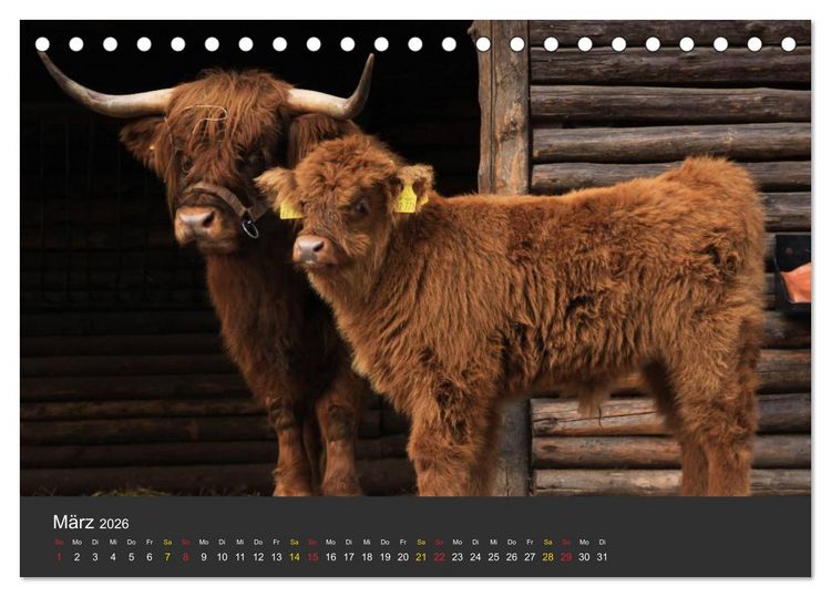 Produktbild: Tierpark-Gera (Tischkalender 2026 DIN A5 quer), CALVENDO Monatskalender