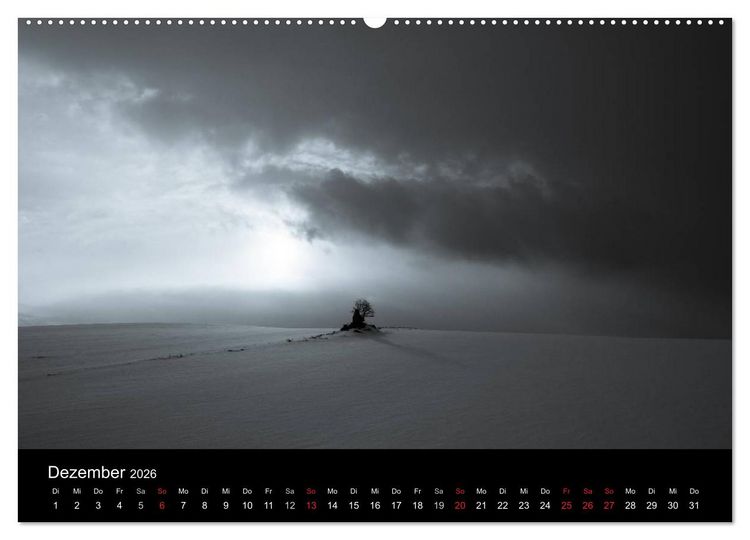 Produktbild: B&auml;ume trees 2026 (Wandkalender 2026 DIN A2 quer), CALVENDO Monatskalender
