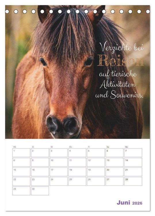 Produktbild: Tierische Challenges: F&uuml;r mehr Bewusstsein und mehr Tierschutz (Tischkalender 2026 DIN A5 hoch), CALVENDO Monatskalender