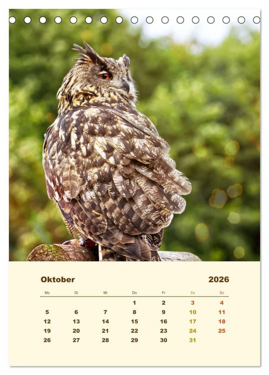Produktbild: Uhu, die Faszination bernsteinfarbener Augen (Tischkalender 2026 DIN A5 hoch), CALVENDO Monatskalender