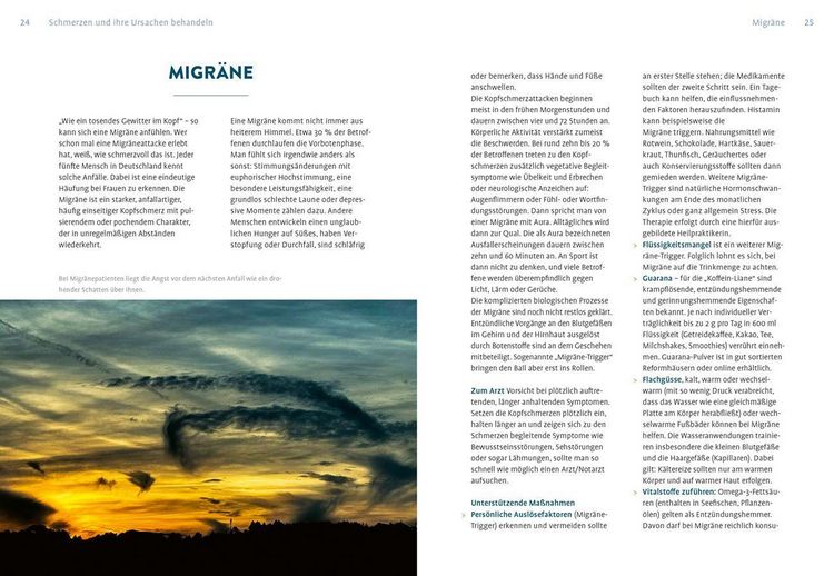Produktbild: Naturheilkunde gegen Schmerzen und Fieber