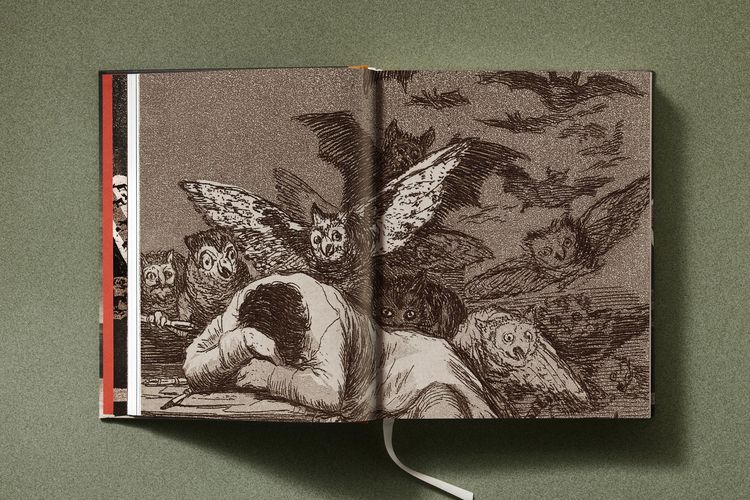 Produktbild: Goya
