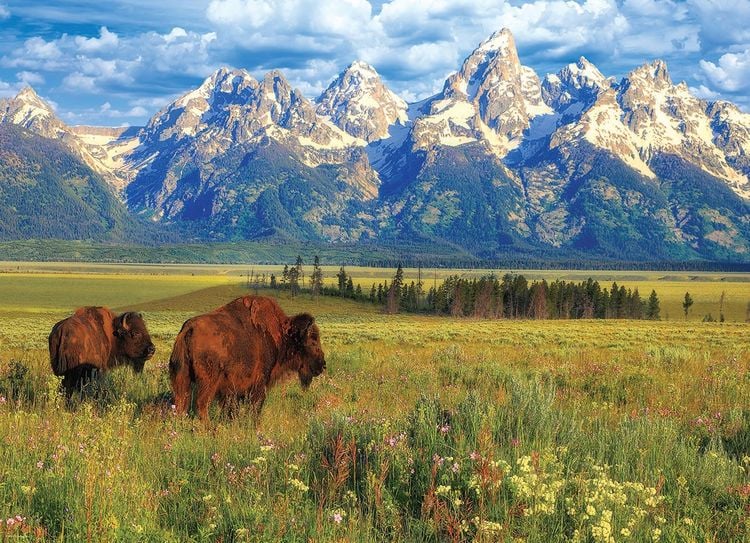 Produktbild: Grand Teton National Park