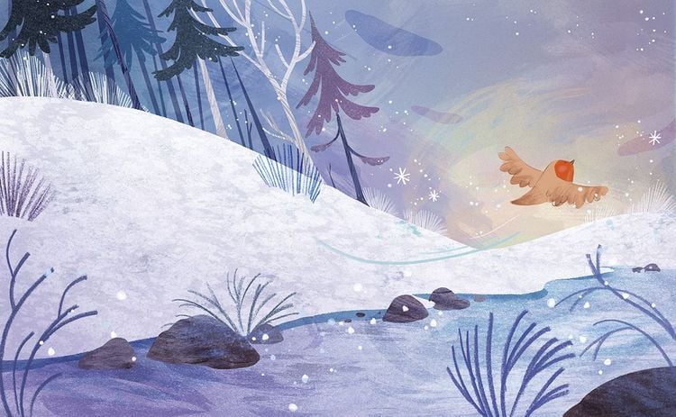 Produktbild: Winter mit Pettirosso