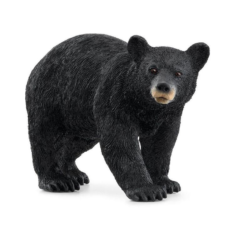 Produktbild: schleich&reg; Wild Life Amerikanischer Schwarzb&auml;r 5,5cm