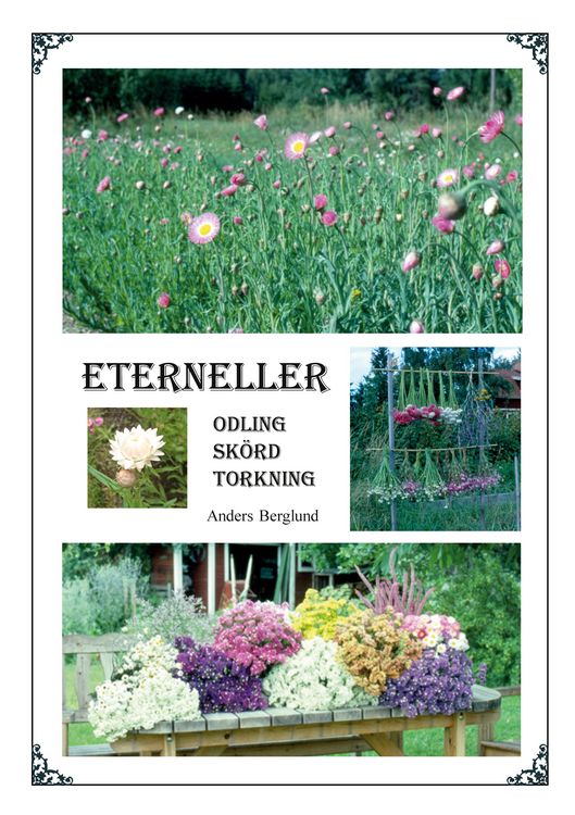 Produktbild: Eterneller