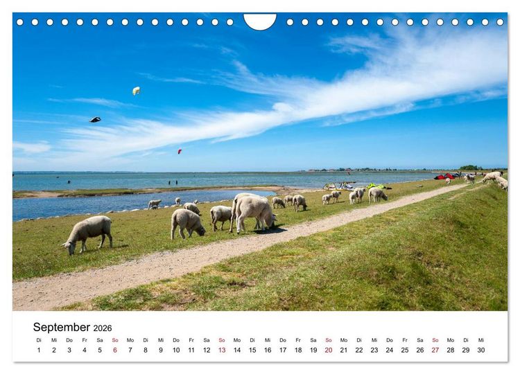Produktbild: Fehmarn - "fe mer" nat&uuml;rlich "am Meer gelegen" (Wandkalender 2026 DIN A4 quer), CALVENDO Monatskalender