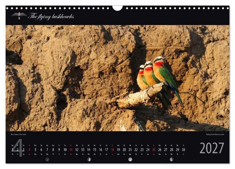 Produktbild: Botswana Blickwinkel 2027 (Wandkalender 2027 DIN A3 quer), CALVENDO Monatskalender