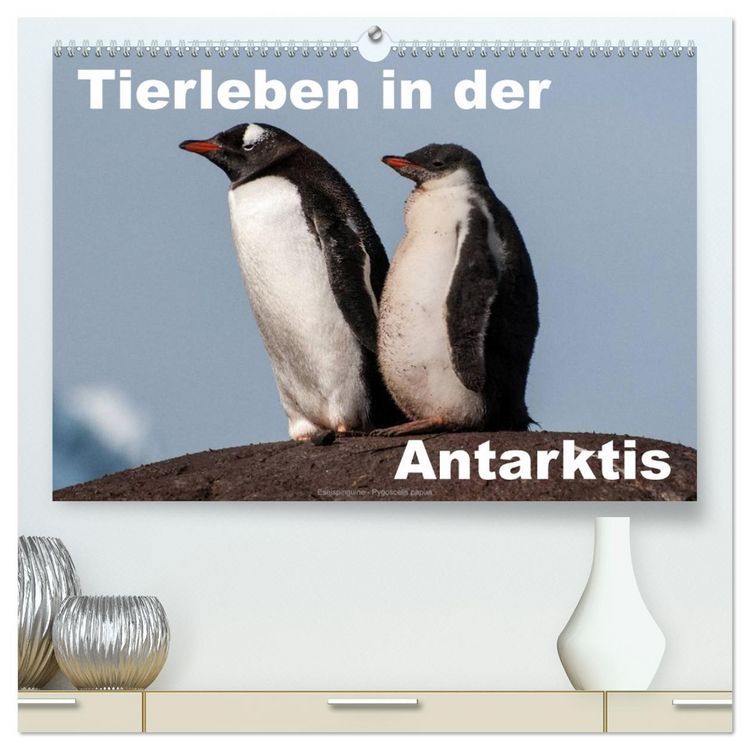 Produktbild: Tierleben in der Antarktis (hochwertiger Premium Wandkalender 2026 DIN A2 quer), Kunstdruck in Hochglanz