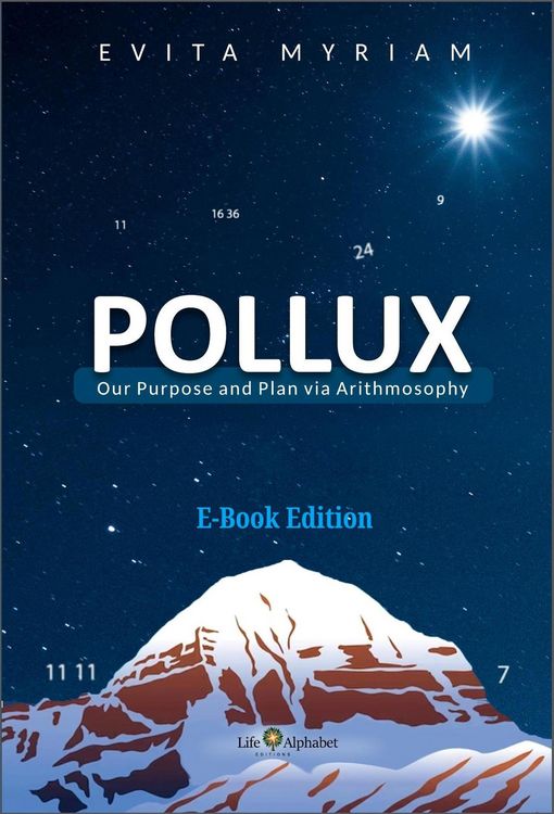 Produktbild: POLLUX - Our Purpose and Plan via Arithmosophy (Transpersonal Fields, #1)