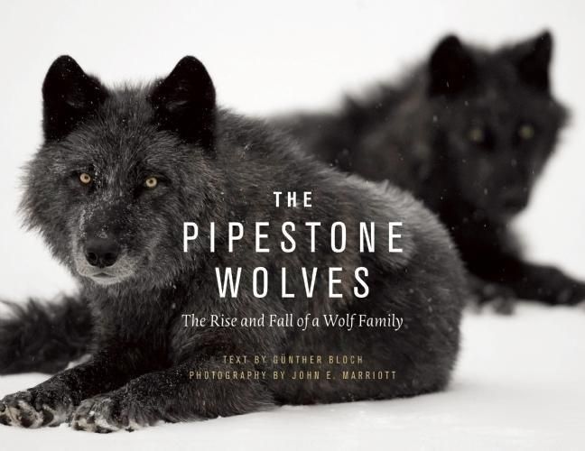 Produktbild: Pipestone Wolves
