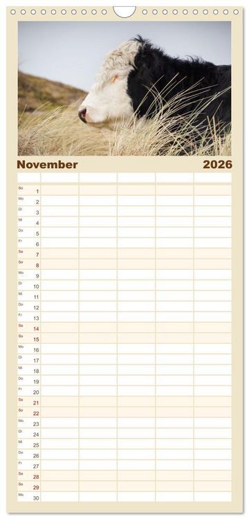 Produktbild: Familienplaner 2026 - Ferien in Holland mit 5 Spalten (Wandkalender, 21 x 45 cm) CALVENDO