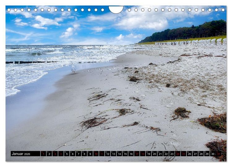 Produktbild: Fischland - Dar&szlig;- Zingst (Wandkalender 2026 DIN A4 quer), CALVENDO Monatskalender