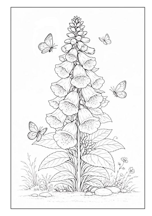 Produktbild: Blumen Malbuch f&uuml;r Erwachsene mit 50 sch&ouml;nen Ausmalmotiven