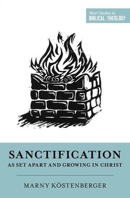 Produktbild: Sanctification as Set Apart and Growing in Christ
