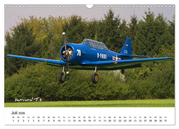 Produktbild: Faszination Kunst- und Segelflug (Wandkalender 2026 DIN A3 quer), CALVENDO Monatskalender