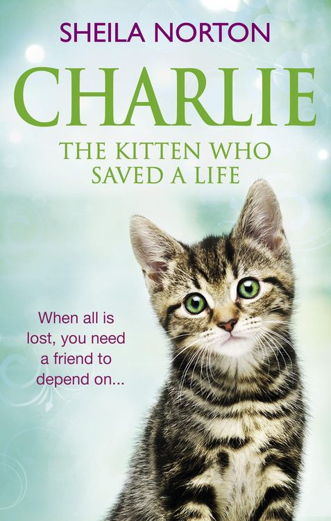 Produktbild: Charlie the Kitten Who Saved A Life