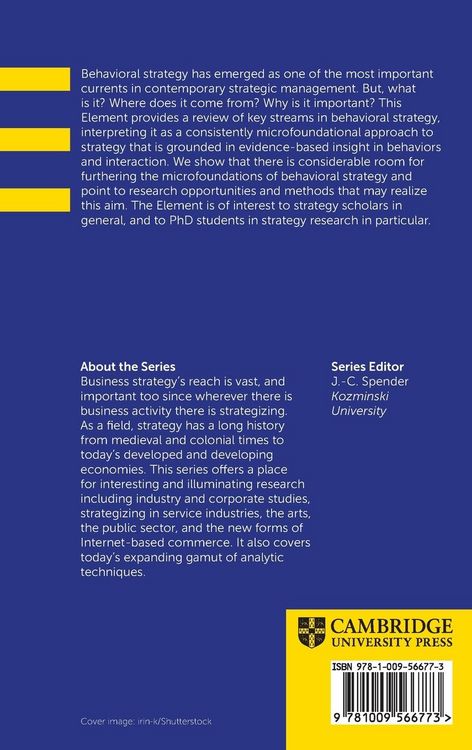 Produktbild: Behavioral Strategy