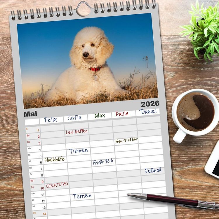 Produktbild: Familienplaner 2026 - Pudel - Gl&uuml;ck auf vier Pfoten mit 5 Spalten (Wandkalender, 21 x 45 cm) CALVENDO