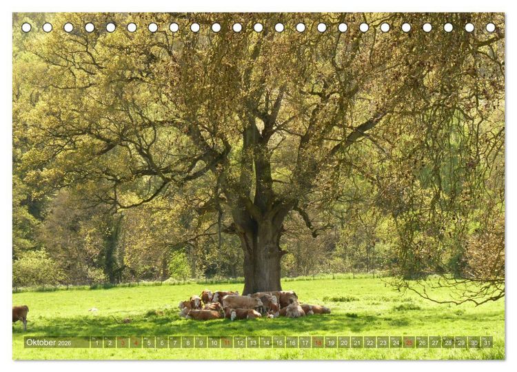 Produktbild: Malerische Cotswolds (Tischkalender 2026 DIN A5 quer), CALVENDO Monatskalender