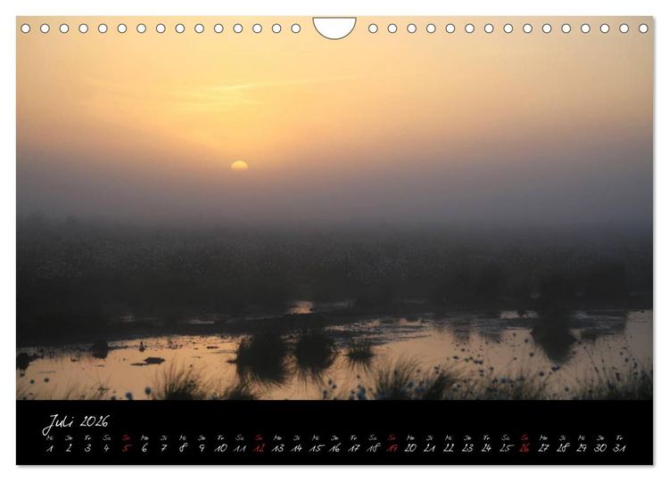 Produktbild: Im Goldenstedter Moor (Wandkalender 2026 DIN A4 quer), CALVENDO Monatskalender