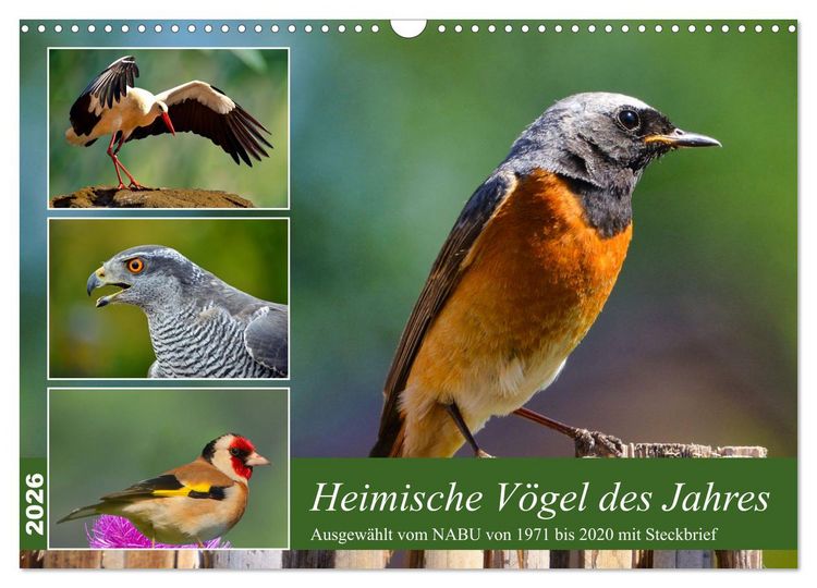 Produktbild: Heimische V&ouml;gel des Jahres (Wandkalender 2026 DIN A3 quer), CALVENDO Monatskalender