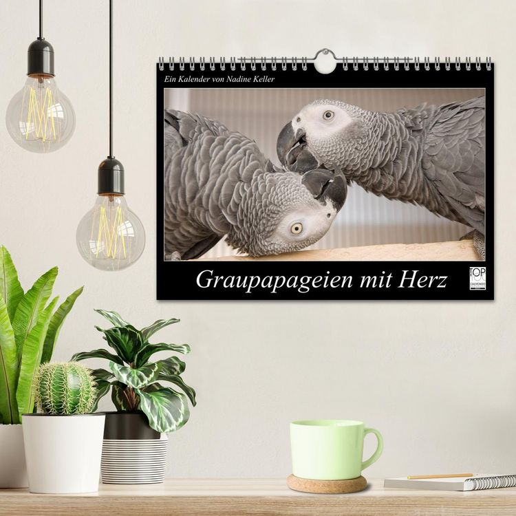 Produktbild: Graupapageien mit Herz (Wandkalender 2026 DIN A4 quer), CALVENDO Monatskalender