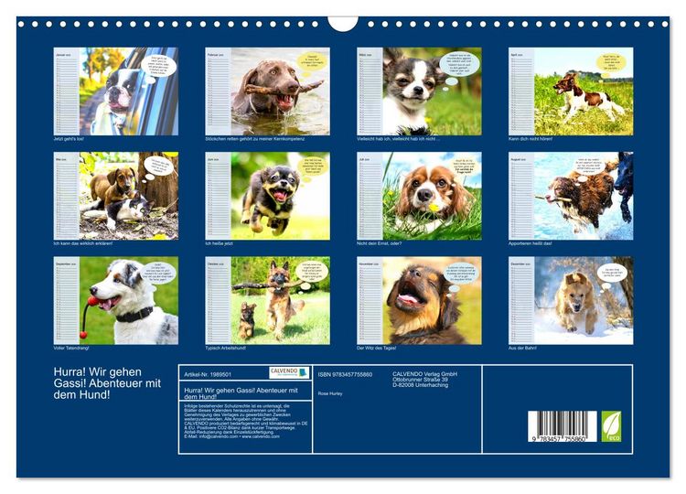 Produktbild: Hurra! Wir gehen Gassi! Abenteuer mit dem Hund! (Wandkalender 2026 DIN A3 quer), CALVENDO Monatskalender