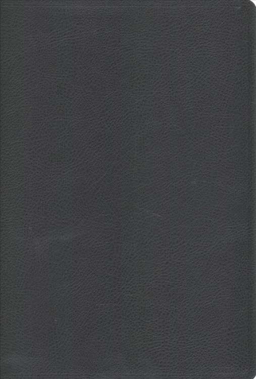 Produktbild: Niv Faithlife Illus Study Bibl