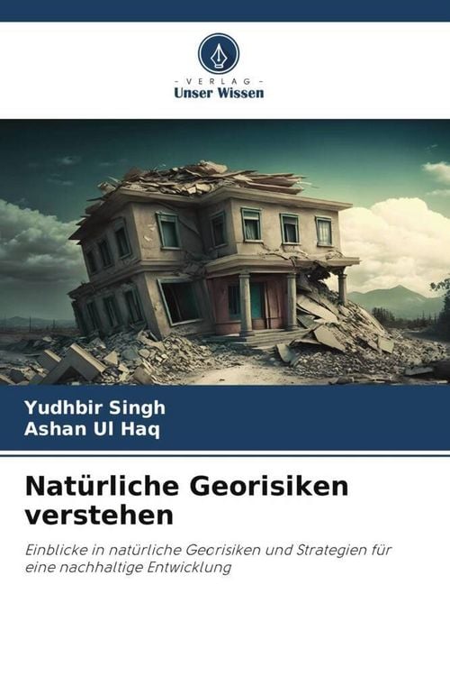 Produktbild: Nat&uuml;rliche Georisiken verstehen
